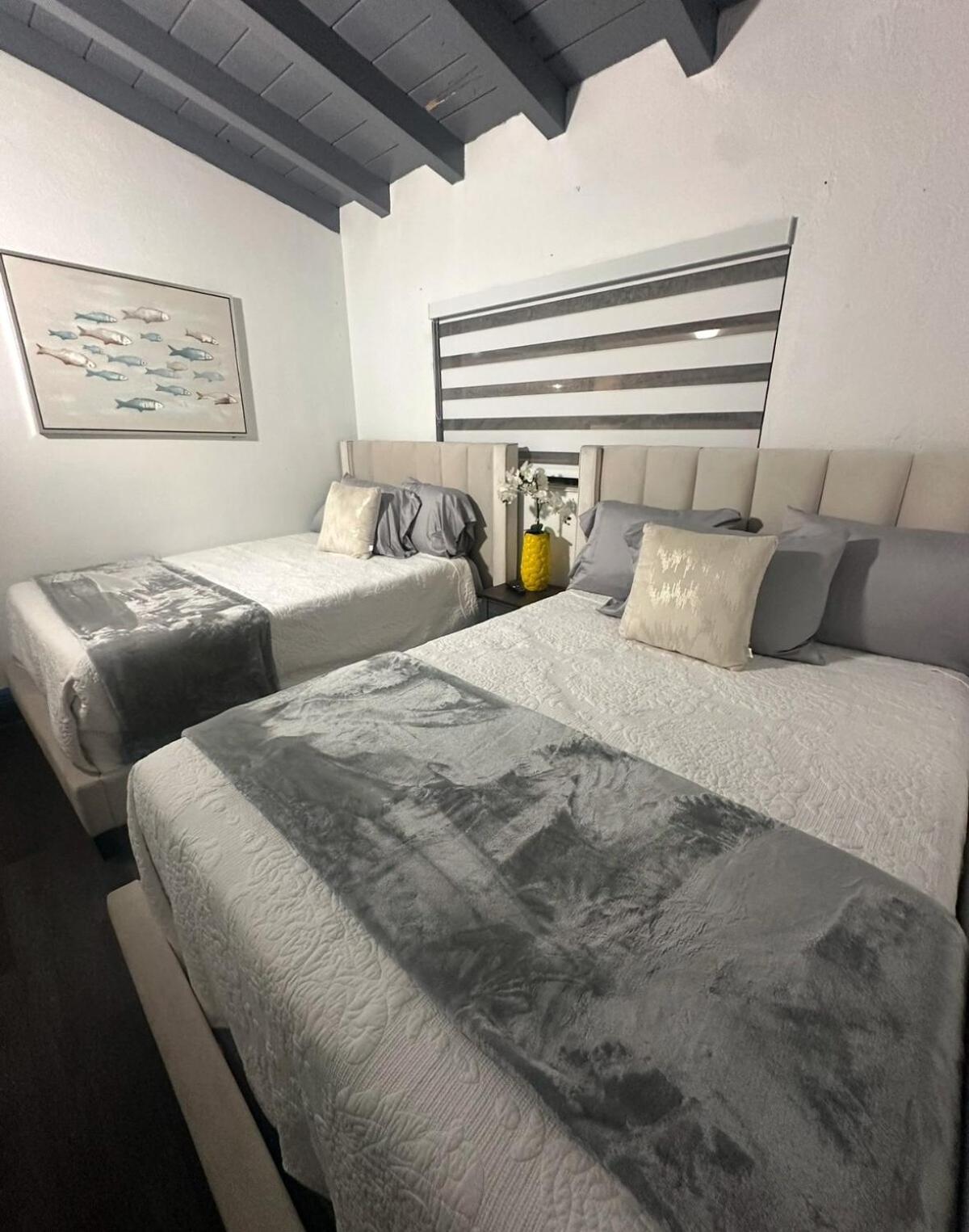 Apartamento Palms Paradise By Coral Gables Miami